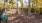 gated dog park with bench